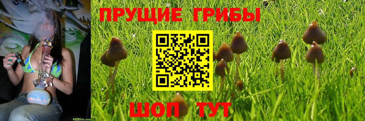 Галлюциногенные грибы MAGIC MUSHROOMS  Вход с VPN  Минусинск 